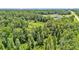 Aerial view of wooded acreage, showing a house, barn, and surrounding trees at 1385 Ewell Rd, Lakeland, FL 33811