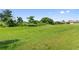 Large, grassy backyard with lots of room for outdoor activities and privacy at 1531 Blue Sky Blvd, Haines City, FL 33844