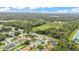 Scenic aerial perspective of homes nestled amid trees, creating a tranquil residential community at 1746 Grey Fox Dr, Lakeland, FL 33810