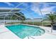 Enclosed pool area with a screen enclosure, lush landscaping, and a well-maintained patio at 7642 Habersham Dr, Lakeland, FL 33810