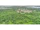 An aerial view of a house surrounded by trees and foliage in a neighborhood at 848 17Th Ne Ter, Winter Haven, FL 33881