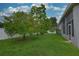 View of the green back yard with manicured lawn and privacy fence at 943 Hamilton Place Ln, Lakeland, FL 33813