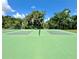 Tennis courts in community with lush landscaping and mature trees at 943 Hamilton Place Ln, Lakeland, FL 33813
