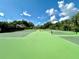 Tennis courts in community with lush landscaping in the background at 943 Hamilton Place Ln, Lakeland, FL 33813