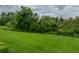 Beautiful view of the green backyard with mature landscaping, perfect for outdoor activities at 3427 Waterlute Way, Lakeland, FL 33811