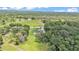 Overhead shot of home surrounded by trees with a big green lawn at 59 Jimmy Lee Rd, Winter Haven, FL 33880
