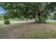 Spacious front yard with mature trees and lush greenery, offering a serene and inviting entrance to the property at 929 Hammock Shade Dr, Lakeland, FL 33809