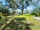 Expansive backyard with a mature shade tree and plenty of green space at 938 E Lowell St, Lakeland, FL 33805