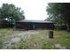 Overgrown backyard with a screen porch and large shade trees at 240 Lake Thomas Dr, Winter Haven, FL 33880