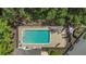 Aerial view of the community pool with lounge chairs, surrounded by lush landscaping and mature trees at 4309 Shipp Ct, Lakeland, FL 33813