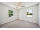Bedroom featuring plush carpeting, a ceiling fan, and large windows with natural views at 4908 S Bedford Ln, Lakeland, FL 33813