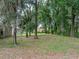 Mostly cleared backyard with mature trees, dense foliage, and a glimpse of another home at 5522 1St Se St, Lakeland, FL 33812