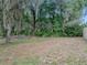 Large, mostly cleared backyard featuring mature trees and a white lattice fence at 5522 1St Se St, Lakeland, FL 33812