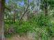 Wooded backyard area with white lattice fence separating it from a heavily vegetated area at 5522 1St Se St, Lakeland, FL 33812
