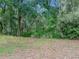 Large backyard featuring mature trees, a white lattice fence, and dense foliage at 5522 1St Se St, Lakeland, FL 33812