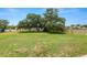 Beautiful green lawn with a grand old tree with Spanish Moss; privacy fence visible in the background at 6217 Ashley Dr, Lakeland, FL 33813