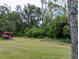Wide open backyard lined by mature trees, creating a serene and private outdoor space at 6915 Dove Meadow Trl, Lakeland, FL 33810