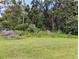 Expansive green backyard surrounded by a dense forest, creating a secluded and natural setting at 6915 Dove Meadow Trl, Lakeland, FL 33810