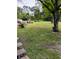 Overgrown backyard featuring a small playset for children, framed by mature trees and natural landscaping at 6915 Dove Meadow Trl, Lakeland, FL 33810