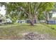 Large, grassy backyard with mature trees, surrounded by fencing, and a view of neighboring homes at 906 E Lowell St, Lakeland, FL 33805