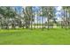 Picturesque backyard with trees, featuring lake views, picnic table, and grilling area at 1044 Timbers Dr, Fort Meade, FL 33841