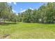 A spacious, grassy backyard featuring mature trees, offering privacy and shade at 1102 Berkley Ln, Winter Haven, FL 33880