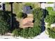 Overhead view of a property with a well-maintained lawn and mature trees shading the backyard at 1125 Blackjack Ridge St, Minneola, FL 34715