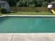 Backyard featuring a refreshing swimming pool, surrounded by lush greenery and a wooden fence at 2250 Maple Hill Dr, Lakeland, FL 33811