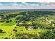 Aerial shot of the property with extensive trees and lawns, showcasing its vastness and beautiful surroundings at 4510 Cindy Rd, Lakeland, FL 33810