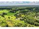 Extensive land with a home, pool, and surrounding buildings nestled within a lush green environment with mature trees at 4510 Cindy Rd, Lakeland, FL 33810