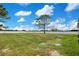 Expansive green backyard featuring a privacy fence, grassy area, and serene surroundings at 5370 Knights Station Rd, Lakeland, FL 33810