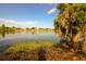 The pond has lush vegetation, and is next to a neighborhood at 6524 Great Bear Drive Blvd, Lakeland, FL 33805