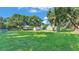 Expansive green backyard with mature trees surrounding the home and shed at 6533 Angus Dr, Lakeland, FL 33810