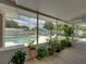 Enclosed lanai filled with potted plants, offering a tranquil view of the pool and backyard at 1232 Fairlee St, Lakeland, FL 33813