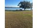 Expansive backyard featuring lush greenery, a tranquil lake view, and a wooden dock at 21 Lake Ave, Winter Haven, FL 33880