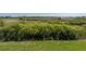 Lush grassy backyard at 4230 Viola Rd, Lakeland, FL 33810