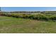 Large grassy backyard area at 4230 Viola Rd, Lakeland, FL 33810
