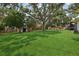Expansive backyard with lush green lawn, large mature trees, and a shed at 1210 Heidi S Ln, Lakeland, FL 33813