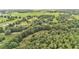Expansive aerial view of lush acreage featuring mature trees and open green spaces at 15345 Angus Rd, Polk City, FL 33868