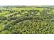 Expansive aerial view of lush acreage featuring mature trees and open green spaces at 15345 Angus Rd, Polk City, FL 33868