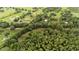 Scenic aerial shot showing wooded acreage with scattered homes and green fields at 15345 Angus Rd, Polk City, FL 33868