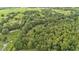 Expansive aerial view of lush acreage featuring mature trees and open green spaces at 15345 Angus Rd, Polk City, FL 33868