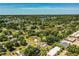 Overhead view of homes surrounded by mature trees and lush greenery near a lake creating a serene and private setting at 1720 Park Dr, Lakeland, FL 33803
