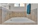 The soaking tub is surrounded by tile, offering a serene bathing experience in the main bathroom at 2932 Blackwater Oaks Dr, Mulberry, FL 33860