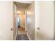 Hallway leading to a decorative blue front door, with a carpeted runner and hardwood-style floors at 3542 Raintree Ct, Lakeland, FL 33803