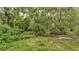 Lush, overgrown yard with mature trees, foliage, and a wood pile in a natural setting at 4035 K Ville Ave, Auburndale, FL 33823
