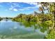 Serene lake view with lush trees and foliage creating a peaceful backyard scene at 6033 Mountain Lake Dr, Lakeland, FL 33813