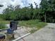 Backyard featuring a concrete patio area and views of lush green trees at 745 Drawdy Rd, Babson Park, FL 33827