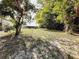Large backyard with grassy area and mature trees at 313 S Ridgewood Ave, Deland, FL 32720