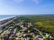Expansive aerial view of a coastal community with a mix of homes, wetlands, and the ocean at 4606 Doris Dr, New Smyrna Beach, FL 32169